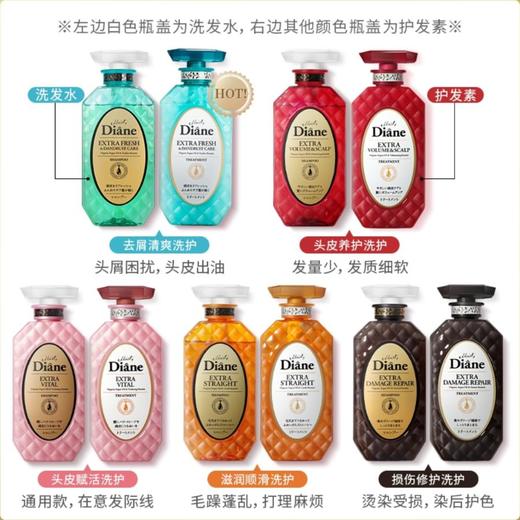 B1黛丝恩致美摩洛奇油洗护发450ml系列 【超市好物】【超市钜惠】【超市洗护】 商品图0