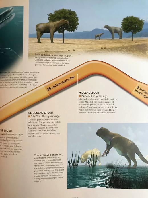 科学权威指南 数百幅彩色插图 精装8开 商品图10