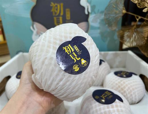 正宗山东莱阳秋月梨初见礼盒 个大脆甜（认证绿色食品） 商品图1
