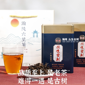 瀚纯六堡茶【 丛生古树】 黑茶新品散茶【150克罐装】