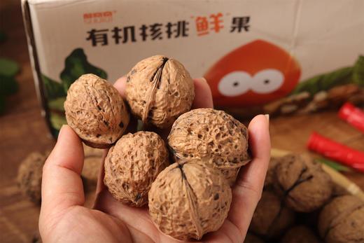 云南无量山老树有机鲜核桃 5斤 商品图3