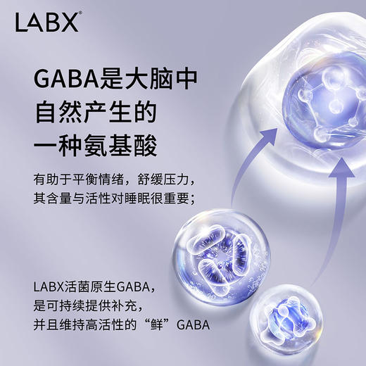 【改善睡眠】LABX好梦兽GABA益生菌原液 氨基丁酸助眠 改善睡眠 非褪黑素 商品图3