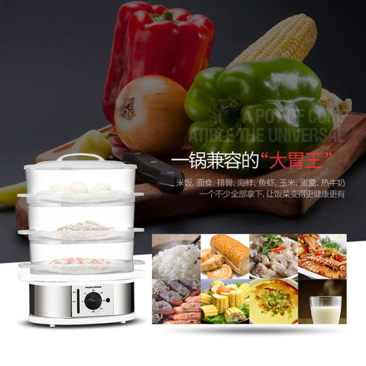 摩飞 MR1148 电蒸锅-JK0467 商品图2