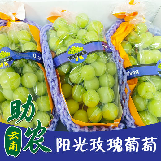 【云南】阳光玫瑰葡萄礼盒（回味有淡香，颗颗果饱满） 商品图0