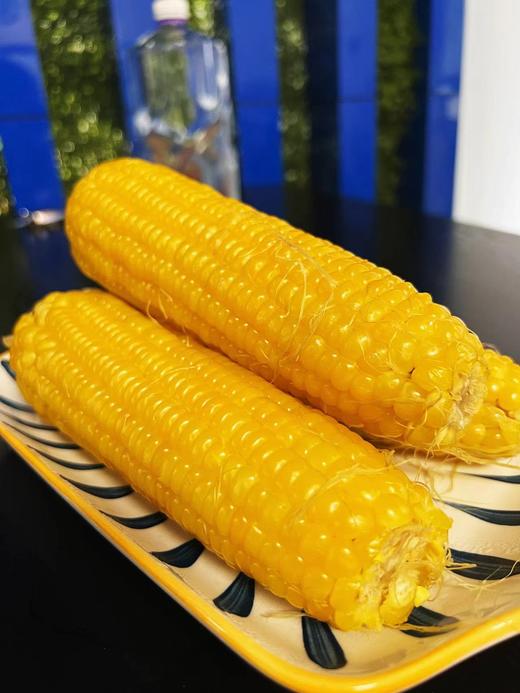 东北糯（黄）玉米 商品图0