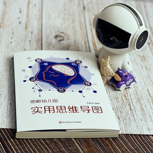 图解幼儿园实用思维导图 幼教教研员李继文编著 可视化思维工具 商品图4