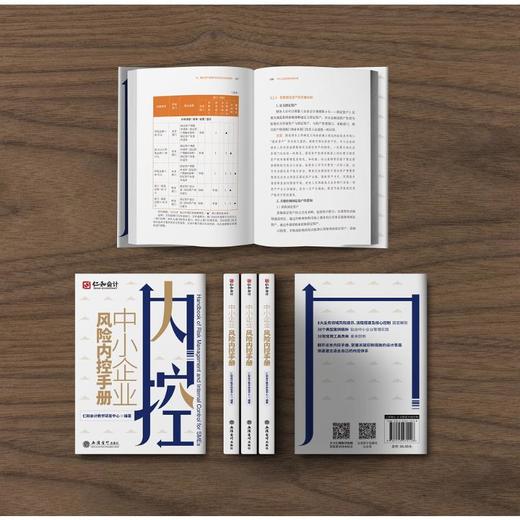 中小企业风险内控手册 商品图1