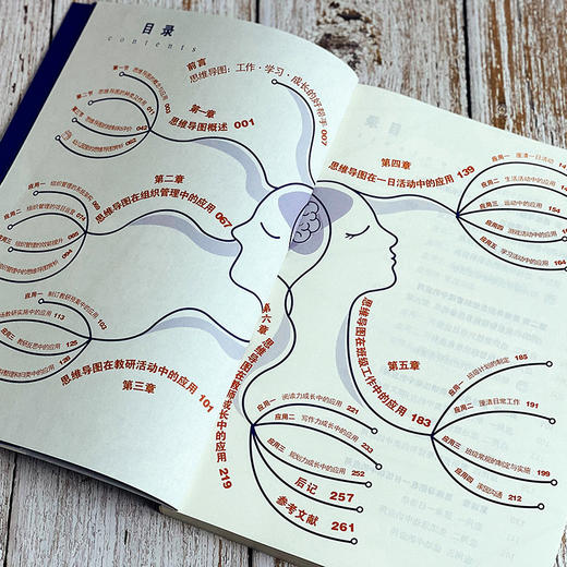 图解幼儿园实用思维导图 幼教教研员李继文编著 可视化思维工具 商品图6