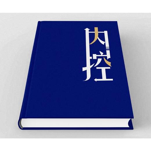 中小企业风险内控手册 商品图2