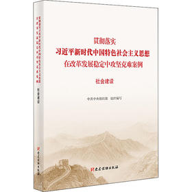 贯彻落实习近平新时代中国特色社会主义思想在改革发展稳定中攻坚克难案例 社会建设
