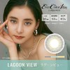 「保税仓现货·48h发」Evercolor日本美瞳 Luquage系列 日抛10片装 商品缩略图0