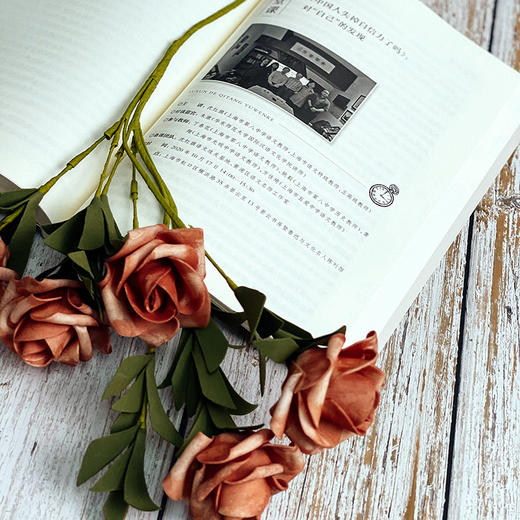 鲁迅的七堂语文课 中学语文课教学研究 统编初高中语文教材 商品图9