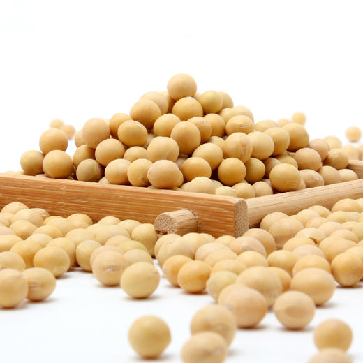 有机大豆 Organic Soybean 商品图1