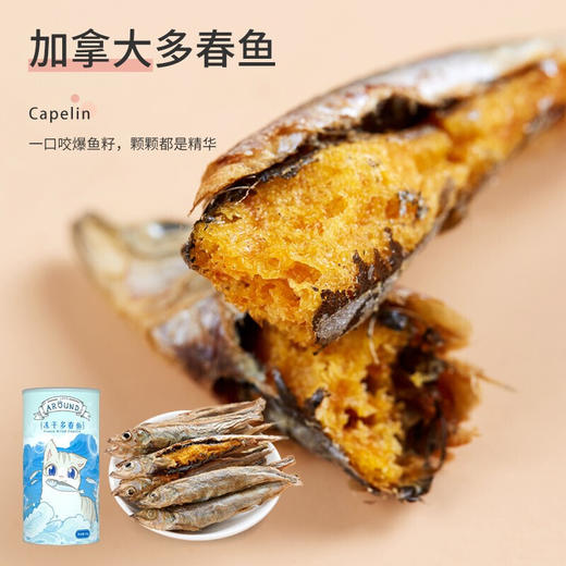 爱立方冻干猫零食小鱼干猫咪零食 猫咪小鱼干冻干多春鱼60g 商品图2