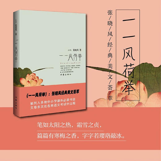 一一风荷举 商品图0