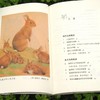 《走，去野外(全4册)》24次有趣的自然漫步之旅， 7大自然主题，200+ 自然科学知识点，16幅精美手绘博物学插画，英国“童书女王”写给孩子的自然观察故事书 商品缩略图6