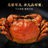 【严选】鲜活大闸蟹礼品卡1288型/1688型 4公4母共8只（厂家直发） 商品缩略图5