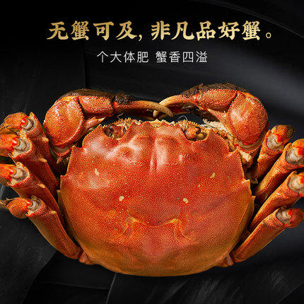 【严选】鲜活大闸蟹礼品卡1288型/1688型 4公4母共8只（厂家直发） 商品图5