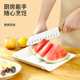 FaSoLa家用切菜板带沥水口厨房塑料案板切水果砧板可悬挂面板