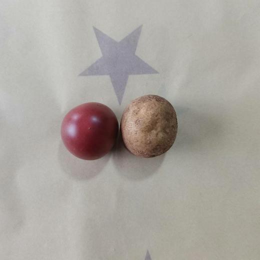 小小土豆（乒乓球大小） 商品图1