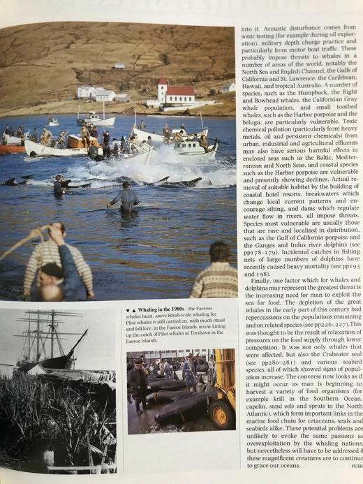 哺乳动物百科全书千余幅彩色插图 精装16开 商品图10