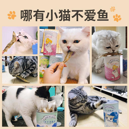 爱立方冻干猫零食小鱼干猫咪零食 猫咪小鱼干冻干多春鱼60g 商品图3