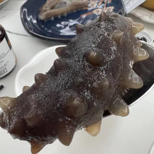 【长岛野生优质拉缸盐海参】圈海五年未动 天然生态海域！拉缸盐半湿海参 可泡发三倍以上 商品图9