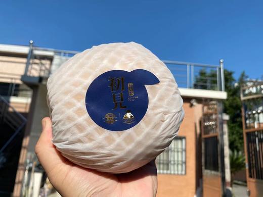 正宗山东莱阳秋月梨初见礼盒 个大脆甜（认证绿色食品） 商品图7