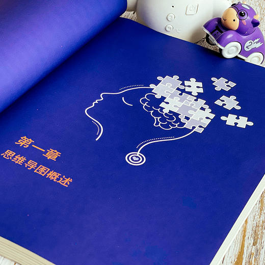 图解幼儿园实用思维导图 幼教教研员李继文编著 可视化思维工具 商品图7