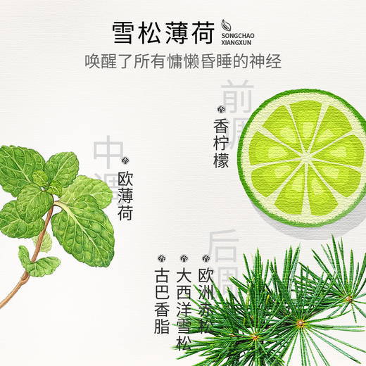 宋朝挂饰车载香薰   汽车香氛挂件   持久淡香清新 商品图3