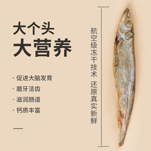 爱立方冻干猫零食小鱼干猫咪零食 猫咪小鱼干冻干多春鱼60g 商品图1