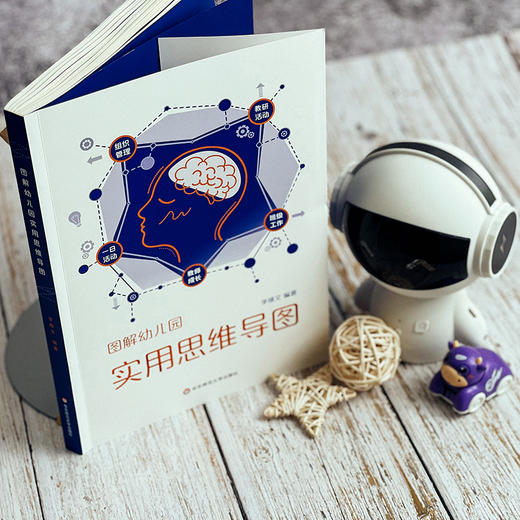 图解幼儿园实用思维导图 幼教教研员李继文编著 可视化思维工具 商品图2