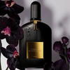 汤姆·福特 午夜兰花 EDT/EDP Tom Ford Black Orchid 分装 商品缩略图7