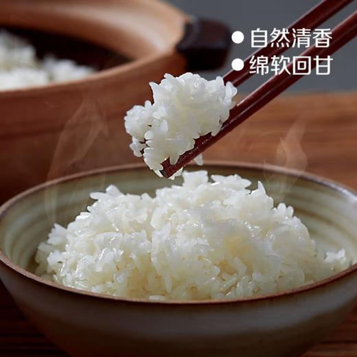 初萃五优稻4号五常有机大米5kg-真空 商品图5