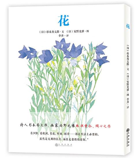 安野光雅“美丽的自然”4册精装：花+邂逅风景+田野的花和小精灵+十二堂绘画课 商品图3