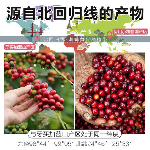 【买2盒赠送冰川杯】景兰85%冻干咖啡12罐24克盒装 商品图3