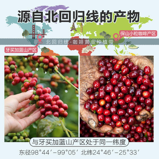 景兰 97%冷萃咖啡 四口味 12罐 盒装 商品图3