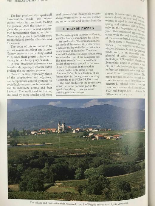 拉鲁斯葡萄酒百科全书 500余幅插图 精装16开 商品图9