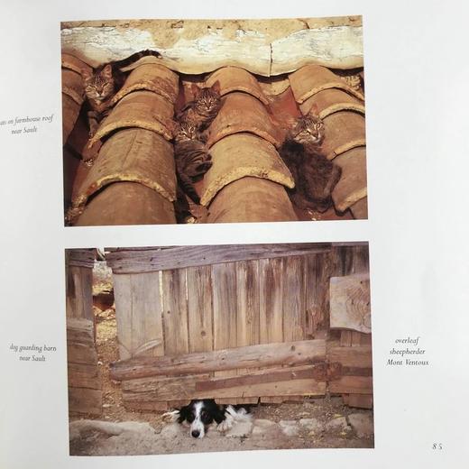 普罗旺斯摄影图集 150幅彩色插图 精装16开 商品图13