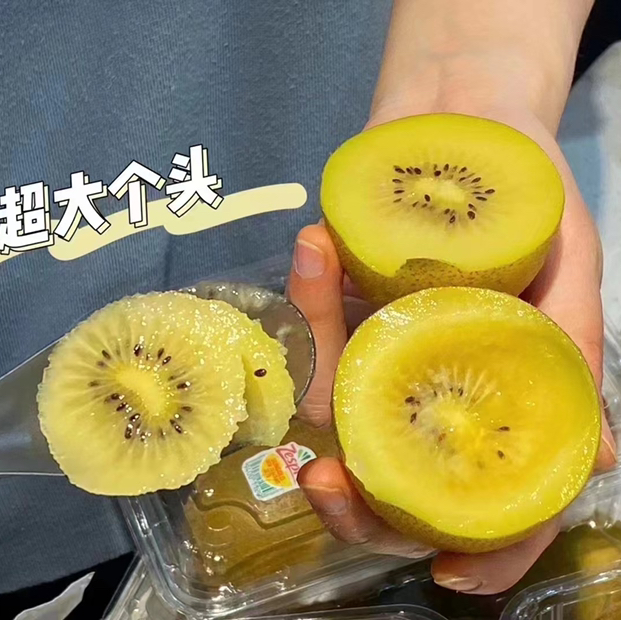 新西兰金果 22规格大果
