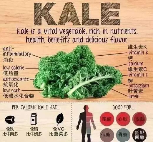 ⁴ 88元/60包【喜善花房羽衣甘蓝粉30包装】YC04-CRMM-XSHF 商品图2