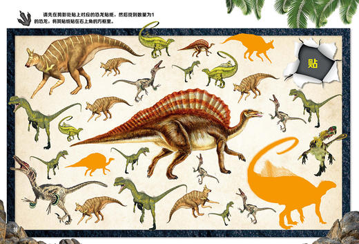 (仓发) 超级恐龙贴纸：奇特的恐龙/长江少年儿童出版社/海豚低幼馆/9787556092550 商品图2