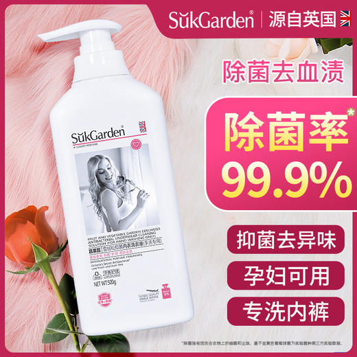 蔬果园雪绒松内衣洗衣液500g 中性配方不伤肤 洁净除异味 商品图0