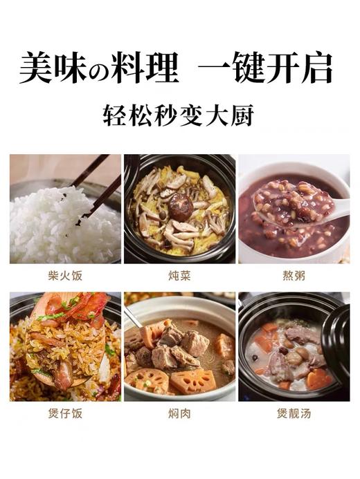 日本 Sezze 3L款 西哲电伊贺烧陶土内胆 智能多功能电炖锅 商品图5