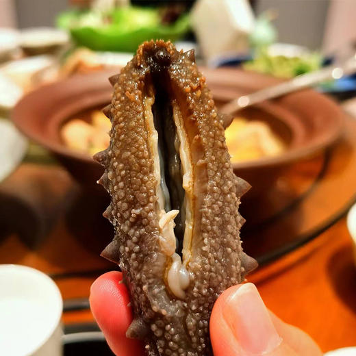 【长岛野生优质拉缸盐海参】圈海五年未动 天然生态海域！拉缸盐半湿海参 可泡发三倍以上 商品图10