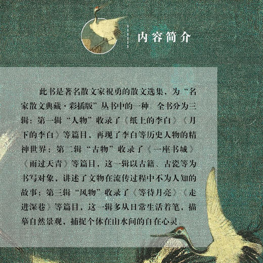 祝勇散文精选 商品图3