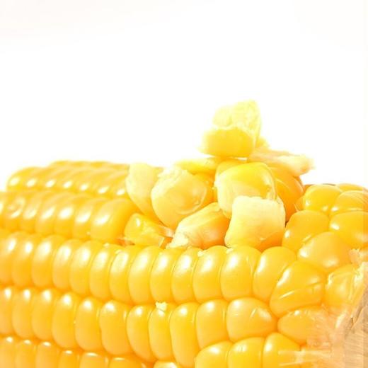 碧夏山庄玉米糁 商品图5