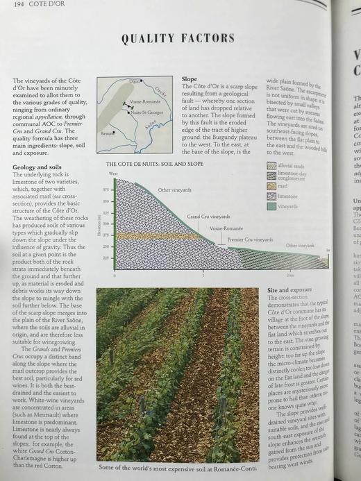拉鲁斯葡萄酒百科全书 500余幅插图 精装16开 商品图13