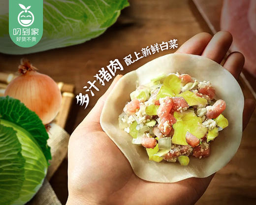 希杰CJ·王饺子白菜猪肉（900g/包 36个）生产日期: 1月 商品图3