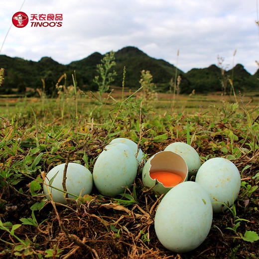 天农高原富硒蛋 (30枚装） 商品图7